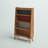 Aaron Standard Bookcase