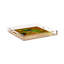 Plateau décoratif carré Family Pheasants-931722624-891674374