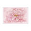 Fleur de cerisier par Cora Niele - peinture sur toile tendue-1566798608