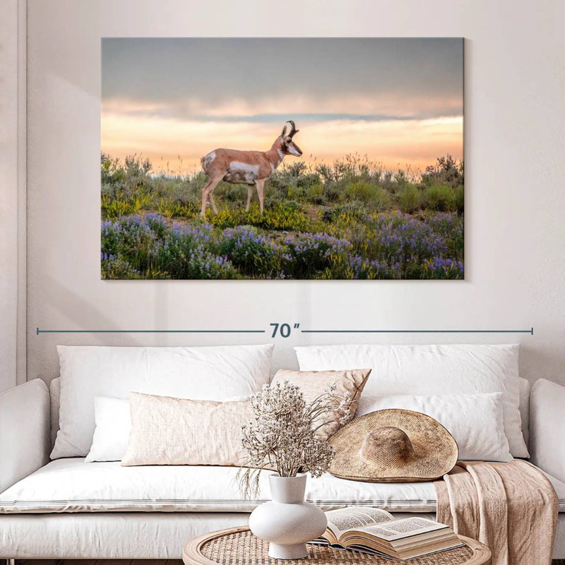 Brampt Pronghorn Antelope, 34" H x 51" W