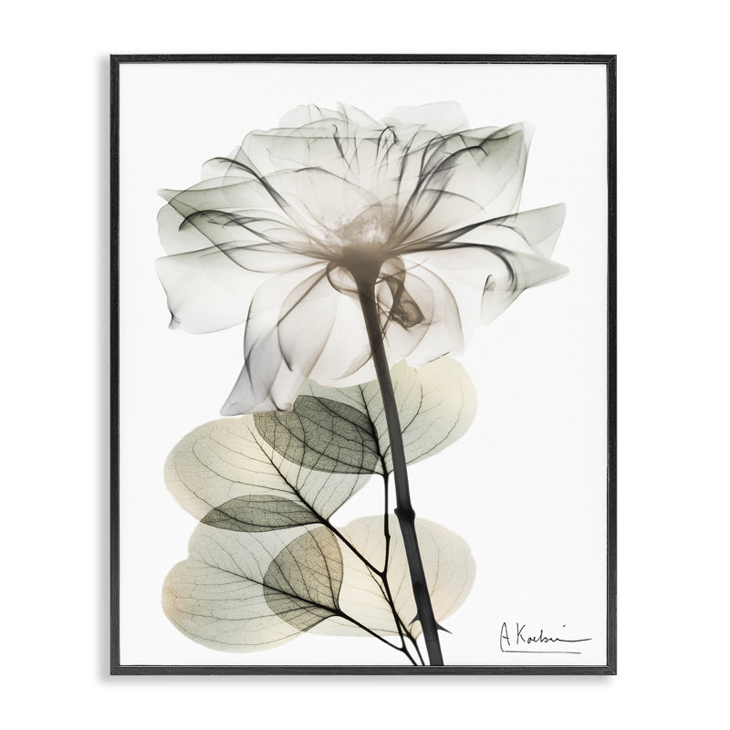Estampe numérique minimaliste moderne, design par Albert Koetsier, H 20 po x l 16 po, Giclée encadrée noir minuit