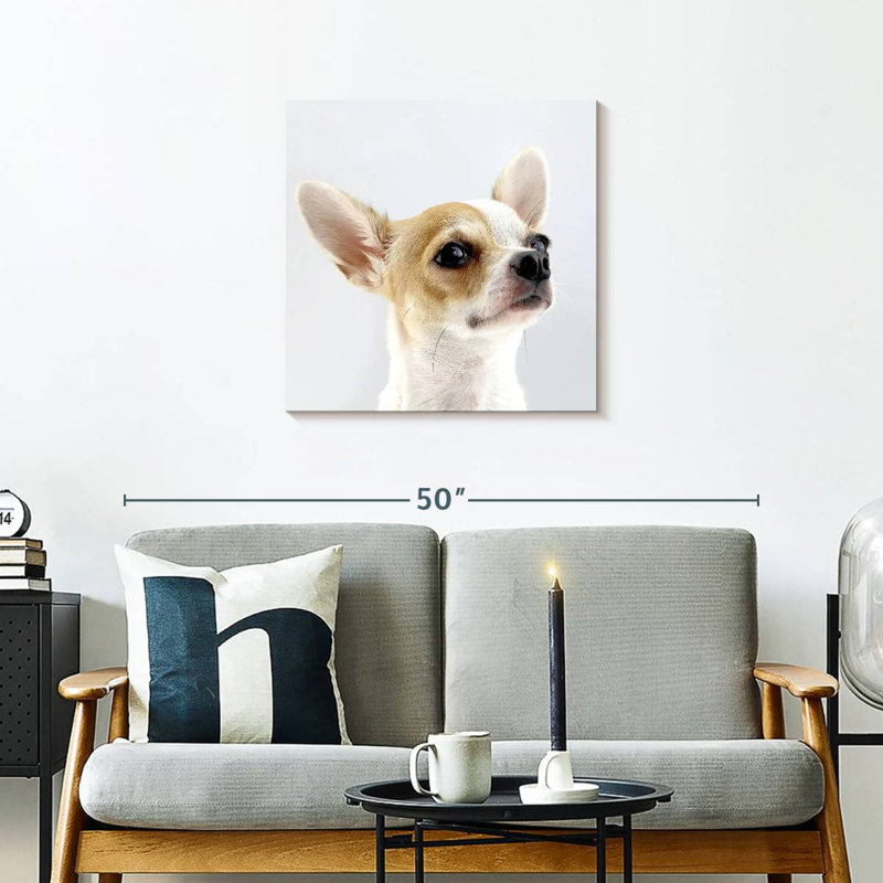Crowle Musing Chihuahua, 24" H x 24" W