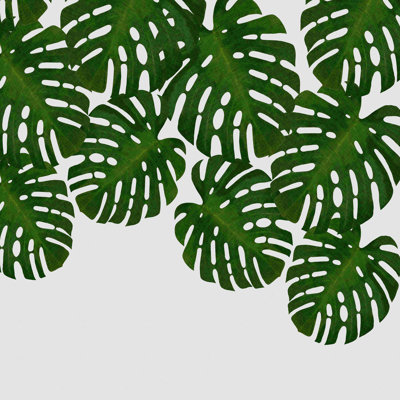 «Monstera Leaf IV», impression sur toile tendue