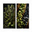 Tranquil Greenery Bamboo Oasis I - Ensemble de 2 impressions sur bambou en métal-1413979931