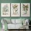 " Botanical Society Ferns VI " 3 - Pieces-91891203-91891209