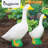 Goose and Baby Bundle