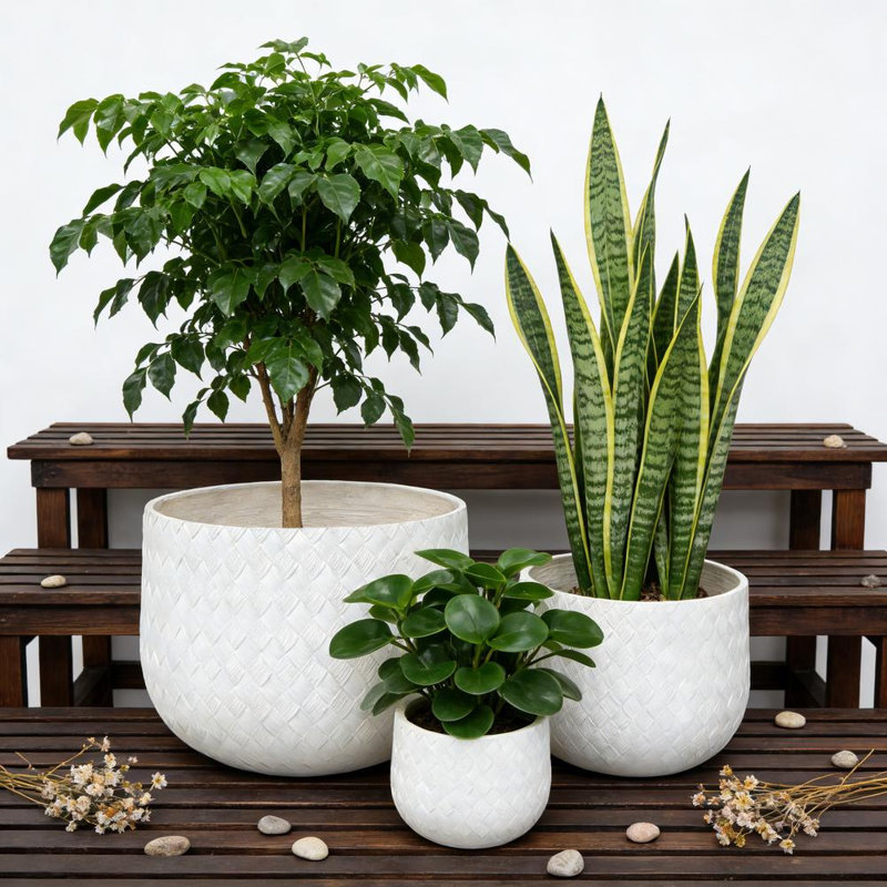 Pots à fleurs à motif de tissage avec trou de drainage pour l'intérieur et l'extérieur (ensemble de 3)