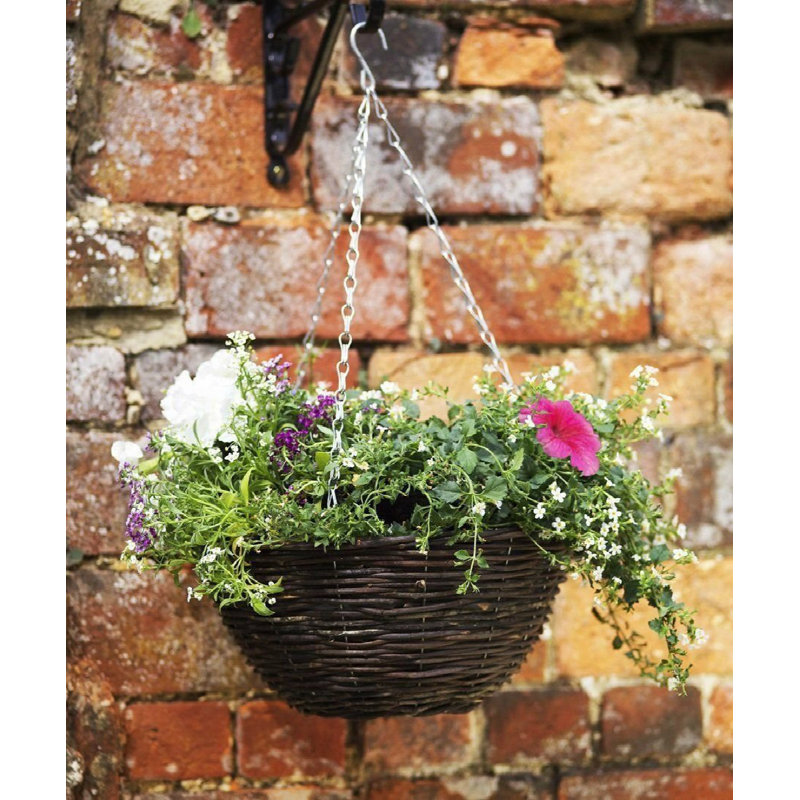 Harless Hanging Planter