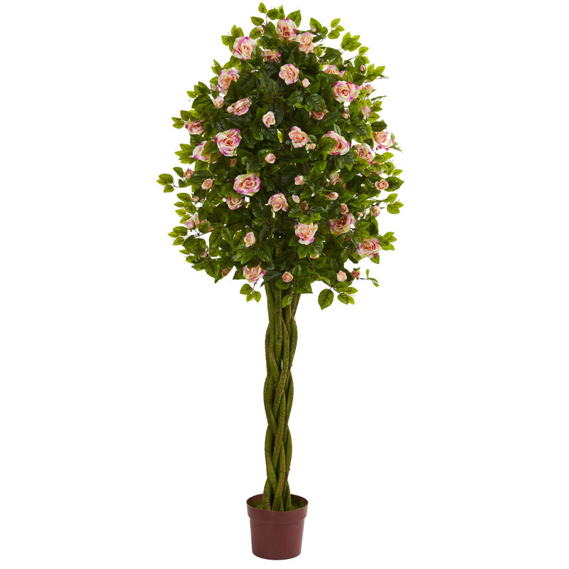 Topiaire 65 po Rose Ficus