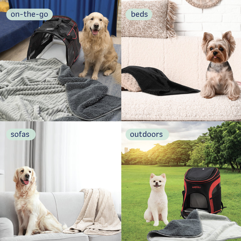 Coussins Katziela, Gris clair, 60 po x 50 po