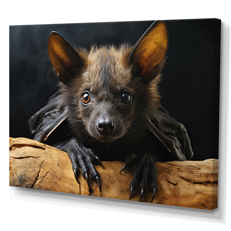 Portrait de chauve-souris I - Impressions encadrées de chauve-souris, Toile tendue, H 12 po x l 20 po x P 1 po