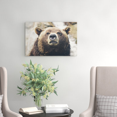 Brown Grizzly Bear Photographic - Wrapped Canvas