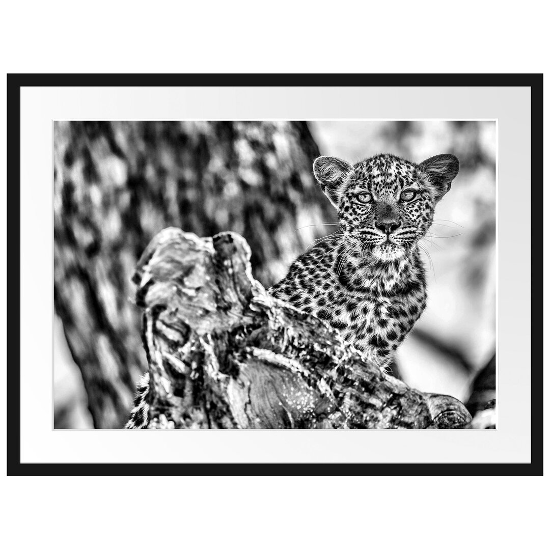 Gerahmtes Poster Leopardjunges auf Baum