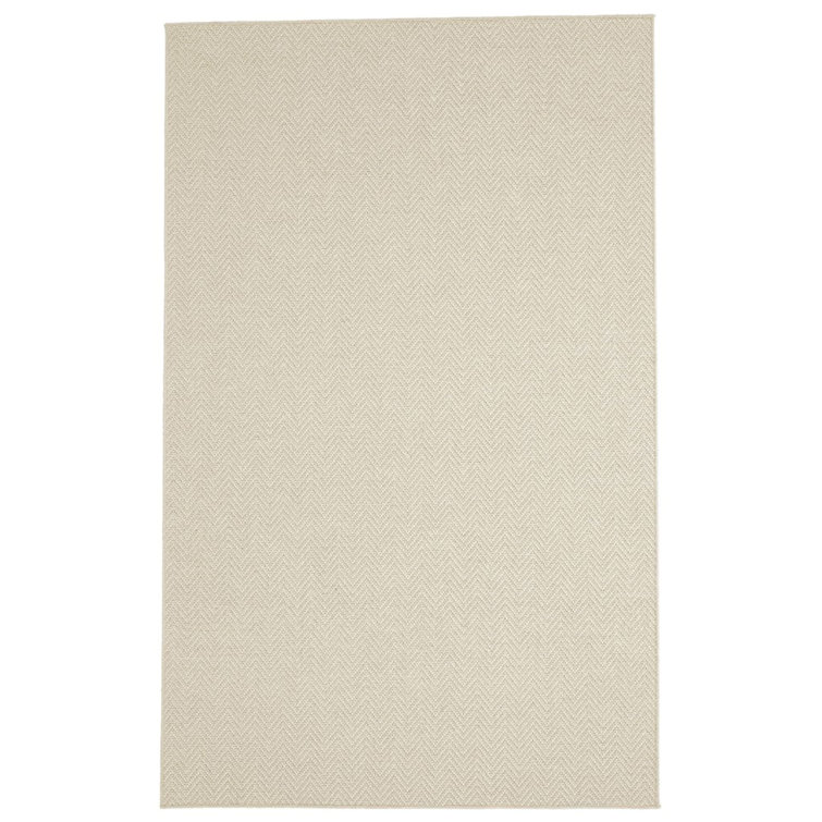 Patel Chevron Indoor Rug