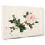 Pink Peony Flower by Kono Bairei - Wrapped Canvas-55339265