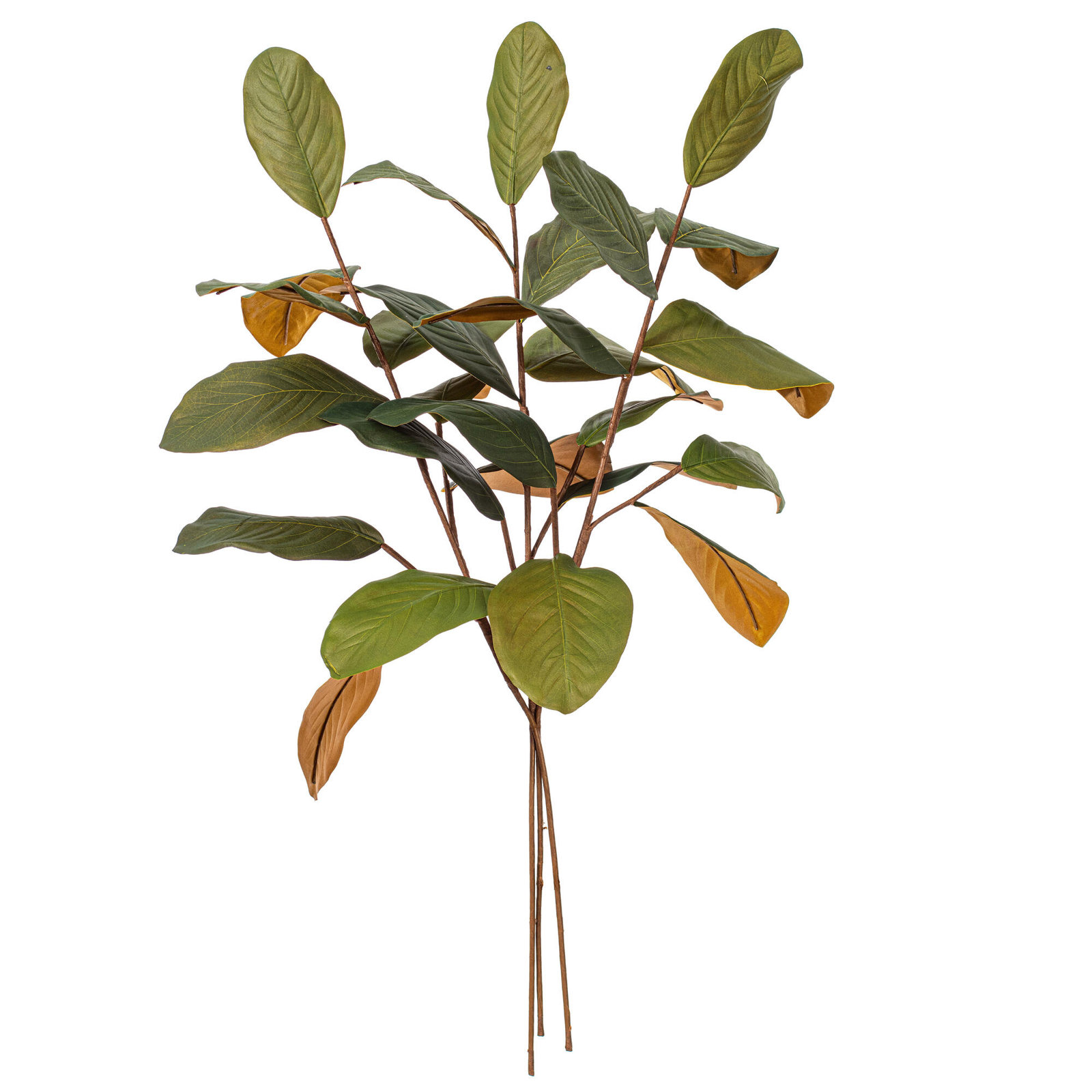 Vick Magnolia Stems