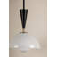 Luminaire suspendu 1 lumière Payson-89401006