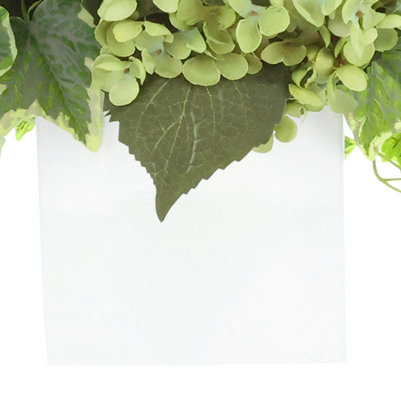 Hydrangea and Ivy Arrangement in Square Pot