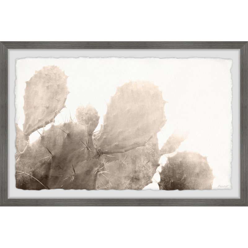 Turning Brown - Single Picture Frame Print, 41cm H x 61cm W x 3.81cm D