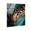 Jungle Watcher III High-Gloss Frameless Acrylic Glass Wall Art Animals Print by Oliver Gal, Ready to Hang, 16 x 20-980233635-980233646