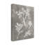 «Herbarium Study II» par Vision Studio - reproduction de dessin sur toile tendue-1162647647