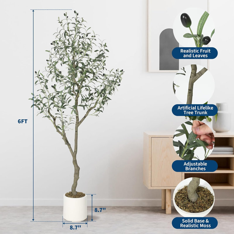183cm Plant