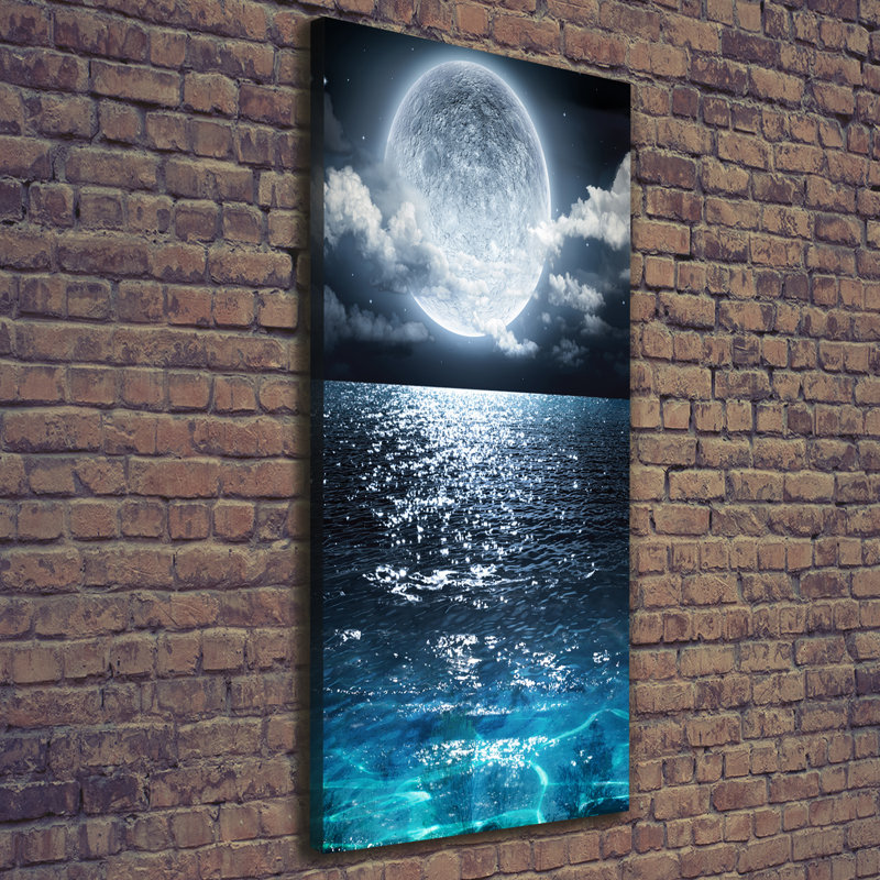 Full Moon - Wrapped Canvas Print