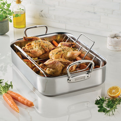 Small Polished Roaster With Rack