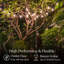 Pro 12-Light 27 ft. Outdoor Solar NonHanging LED 1-Watt G45 3000K Soft White Bulb String Lights