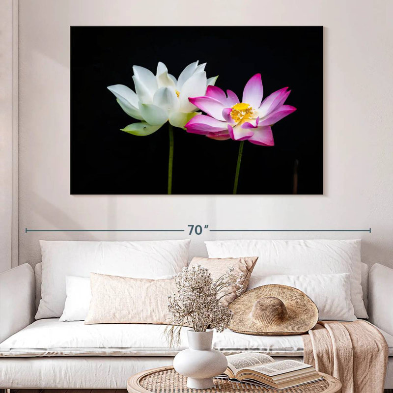 Pink And White Lotus Flowers