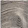 Clemones Swirl Black Area Rug