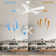 52'' Ceiling Fan with LED Lights