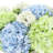 Assorted Hydrangea and Viburnum in Ceramic Vase