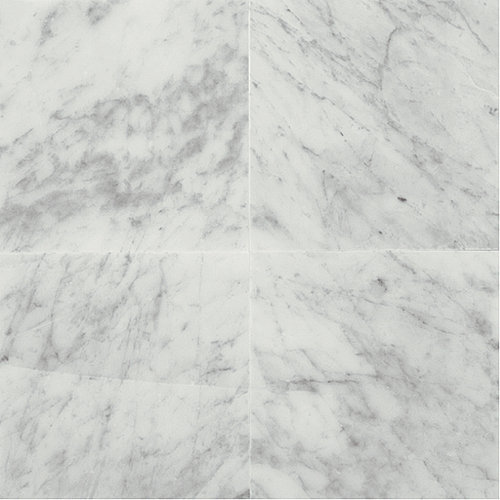Marble Collection 12" x 12" Lightly Polished Natural Stone Field Tile in Carrara White