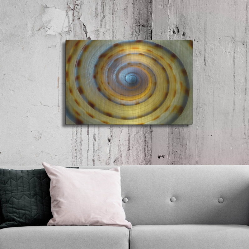 " Shell Spiral IV " by Dennis Frates, 24" H x 36" W