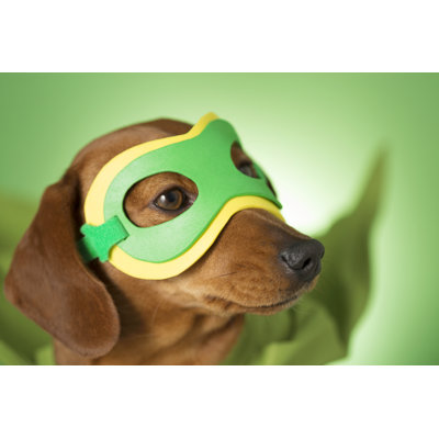 Chien masqué super-héros par Mrpliskin