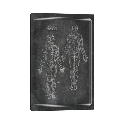 «The Spinal Nerves» par ChartSmartDecor, reproduction sur toile tendue