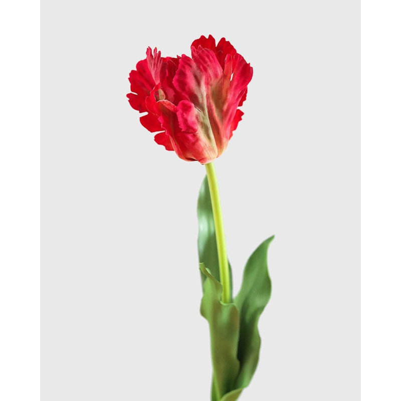 Real Touch Lemon Parrot Tulip 27", White