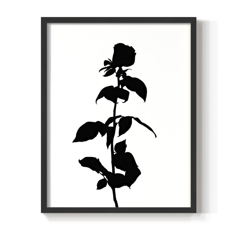 Pressed Memory II Framed Print - Solid Wood, 11" H x 9" W, Black