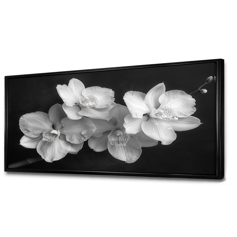 Art botanique noir et orchidées photo II - Orchidées murales, Cadre flottant noir, H 28 po x l 60 po