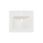 Meuble-lavabo en bois pré-assemblé 20 po avec tablette réglable - blanc-261863948