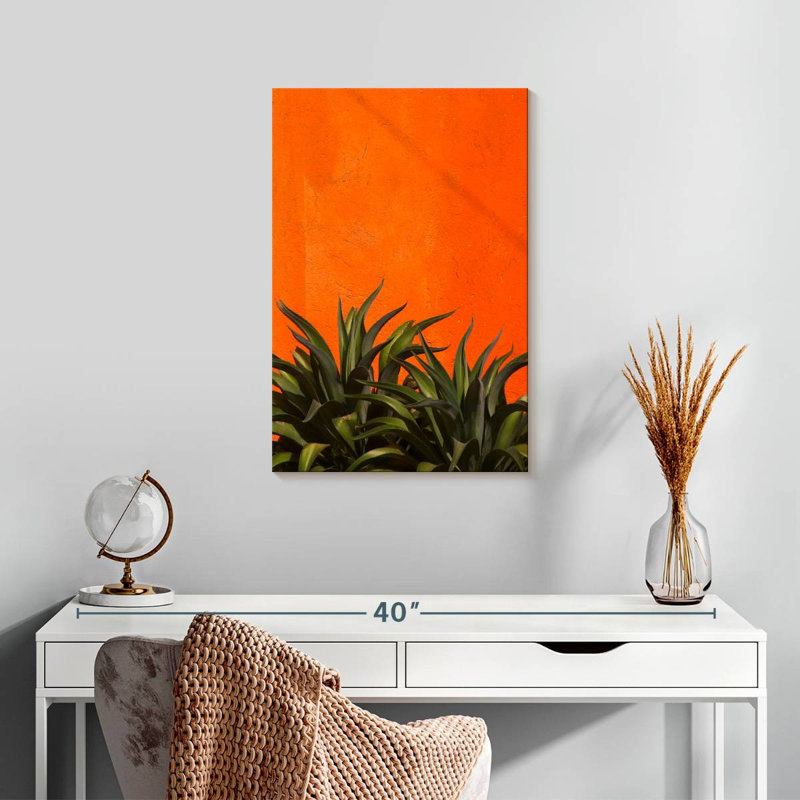 Harnek Agave, 24" H x 16" W
