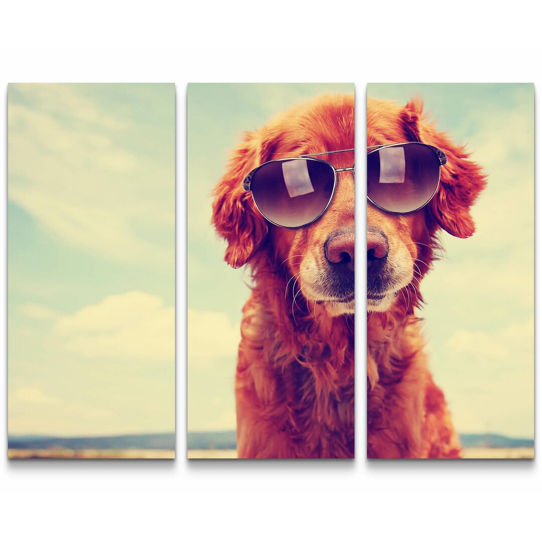 3-tlg. Leinwandbilder-Set Golden Retriever mit Sonnenbrille