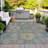 Machine Washable Indoor/Outdoor Jacinto ACN2151 Medallions Rug-1836494119