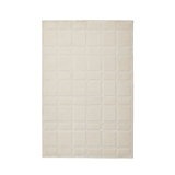 Area Rug in Beige