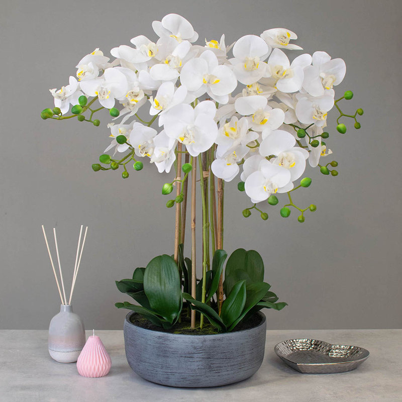 Polysilk Orchid Arrangement in Pot, 68cm H x 30cm W x 30cm D, Pink