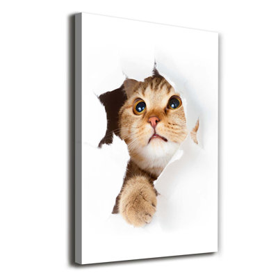 Cat - Wrapped Canvas Print