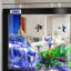 Aquarium moderne 165-175 gallons en acrylique Eco-129197476-129197477