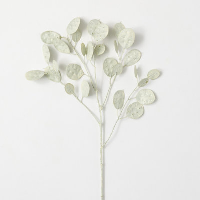 Madie Linaria Stems