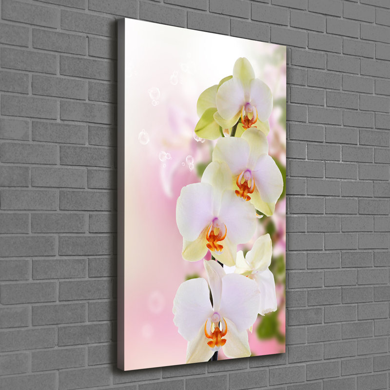 White Orchid - Wrapped Canvas Print